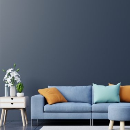 demo-attachment-500-1528